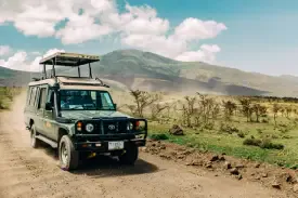 High Value Safari Sales Blueprint